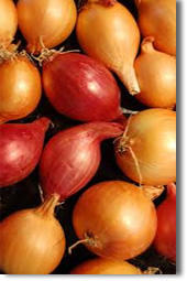 grow onions from seed